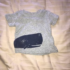 Infant boy T Shirt
